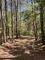 635 Stanley Hinson Rd - Photo 35