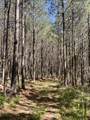 635 Stanley Hinson Rd - Photo 36