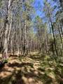 635 Stanley Hinson Rd - Photo 37