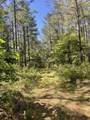 635 Stanley Hinson Rd - Photo 40