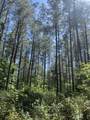 635 Stanley Hinson Rd - Photo 42