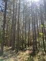 635 Stanley Hinson Rd - Photo 43