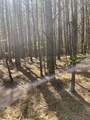 635 Stanley Hinson Rd - Photo 46