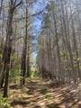 635 Stanley Hinson Rd - Photo 47