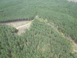 635 Stanley Hinson Rd - Photo 7
