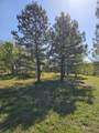 201 Pioneer Road - Photo 18