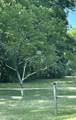 3360 Highway 12 - Photo 17