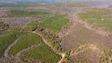 0 Old Highway 18 - Photo 11