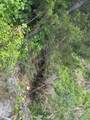 0 Highway 100 W - Photo 25