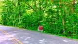 1 Dean Rd - Photo 14