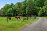 401 County Road 432 - Photo 43