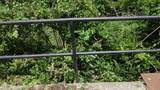 0 Anderson Lane - Photo 6