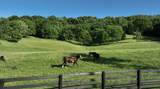 9553 Clovercroft Rd - Photo 3