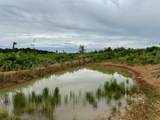0 Sawdust Road - Photo 13