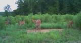 0 Sawdust Road - Photo 3