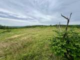 0 Sawdust Road - Photo 7