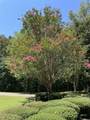 825 Barham Ln - Photo 10