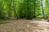 0 Steel Tram Ridge Ln - Photo 4