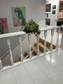 137 Franklin St - Photo 3