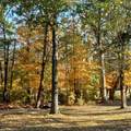 318 Northwind Dr - Photo 36