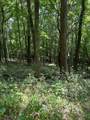 0 Ingram Road - Photo 5