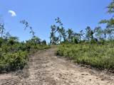 0 Trace Creek Rd - Photo 2