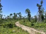 0 Trace Creek Rd - Photo 11