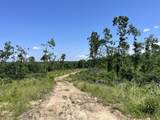 0 Trace Creek Rd - Photo 12
