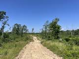0 Trace Creek Rd - Photo 3