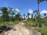 0 Trace Creek Rd - Photo 4