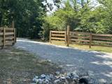 1033 Shelter Branch Rd - Photo 2