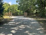 1033 Shelter Branch Rd - Photo 3