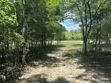 1033 Shelter Branch Rd - Photo 7