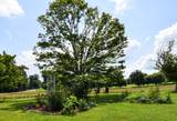 135 Old Hwy 52W - Photo 46