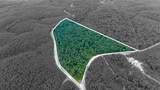 8197 Rockhouse Rd - Photo 1