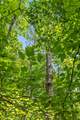 27 Highway 157 - Photo 20
