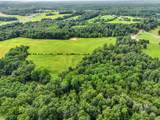 3985 Liverworth Rd - Photo 11