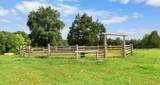 3985 Liverworth Rd - Photo 4