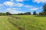 3985 Liverworth Rd - Photo 7