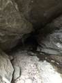 2642 Hilham Hwy - Photo 60