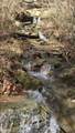 2642 Hilham Hwy - Photo 61
