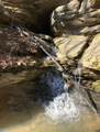 2642 Hilham Hwy - Photo 63