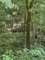 0 Hollis Crossing Rd - Photo 3