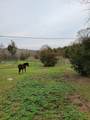 1671 Bell Rd - Photo 23
