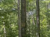 6 Walnut Flats - Photo 12