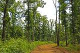 0 Bell Hollow Rd - Photo 12