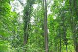 0 Bell Hollow Rd - Photo 17