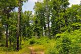 0 Bell Hollow Rd - Photo 21
