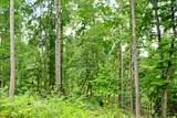 0 Bell Hollow Rd - Photo 38