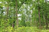 0 Bell Hollow Rd - Photo 40